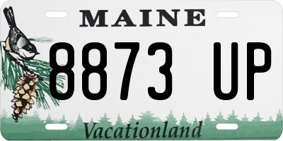 ME license plate 8873UP