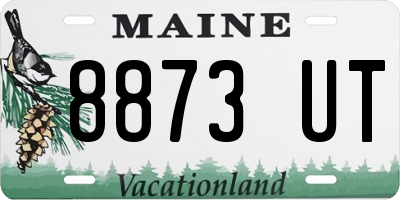 ME license plate 8873UT