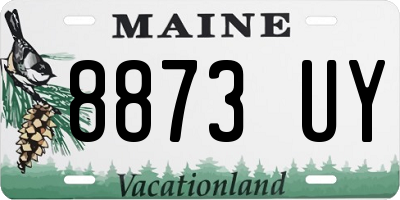 ME license plate 8873UY