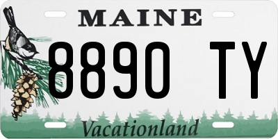 ME license plate 8890TY