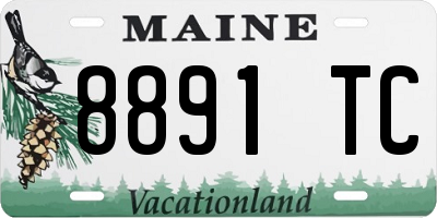 ME license plate 8891TC