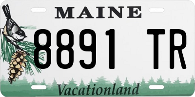 ME license plate 8891TR