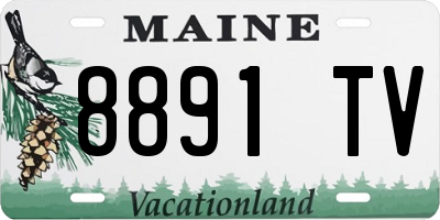 ME license plate 8891TV