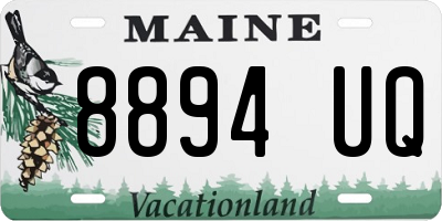 ME license plate 8894UQ