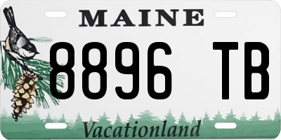 ME license plate 8896TB