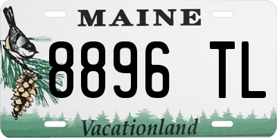 ME license plate 8896TL