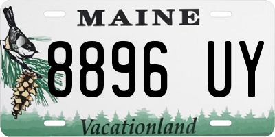 ME license plate 8896UY