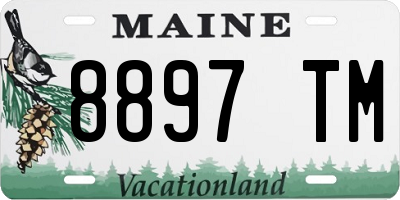 ME license plate 8897TM