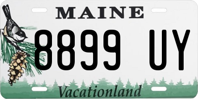 ME license plate 8899UY