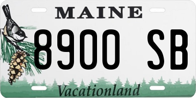 ME license plate 8900SB