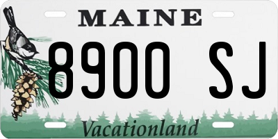 ME license plate 8900SJ