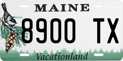 ME license plate 8900TX