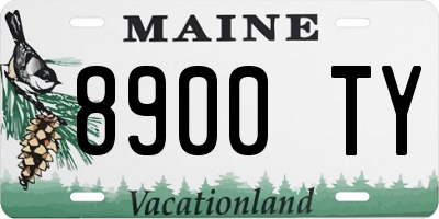 ME license plate 8900TY