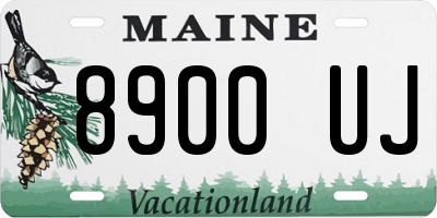 ME license plate 8900UJ