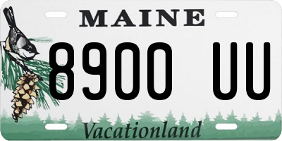 ME license plate 8900UU