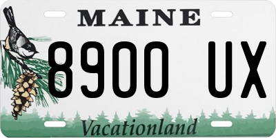 ME license plate 8900UX