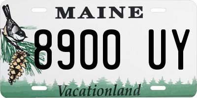 ME license plate 8900UY