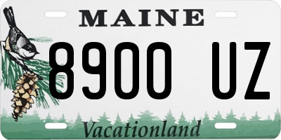 ME license plate 8900UZ