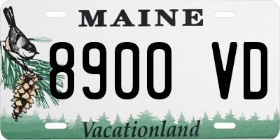ME license plate 8900VD
