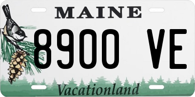 ME license plate 8900VE