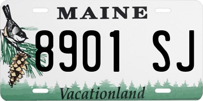 ME license plate 8901SJ