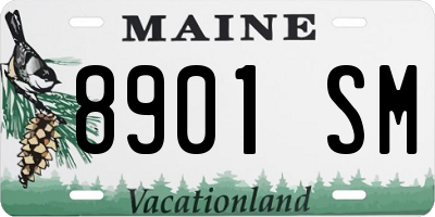 ME license plate 8901SM