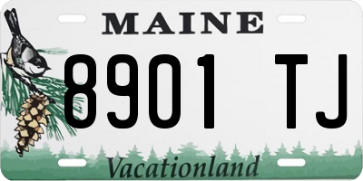 ME license plate 8901TJ