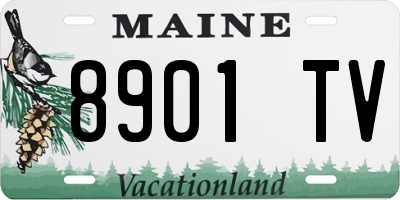 ME license plate 8901TV