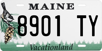 ME license plate 8901TY