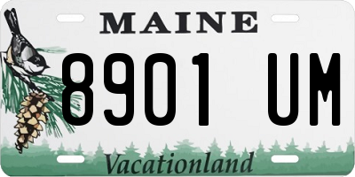 ME license plate 8901UM