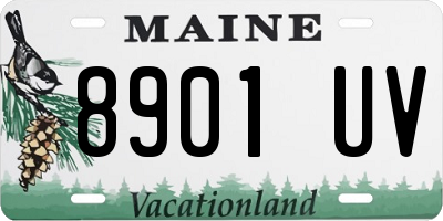 ME license plate 8901UV