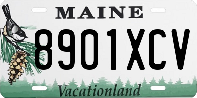 ME license plate 8901XCV