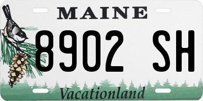 ME license plate 8902SH