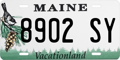 ME license plate 8902SY