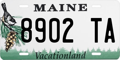 ME license plate 8902TA