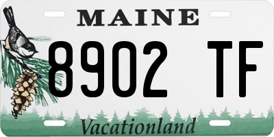 ME license plate 8902TF