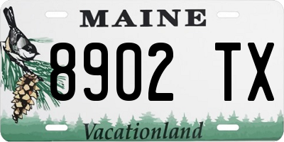 ME license plate 8902TX