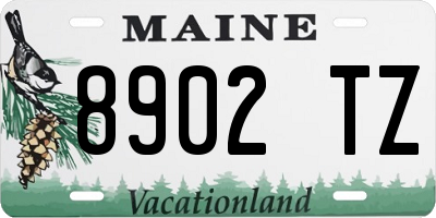 ME license plate 8902TZ