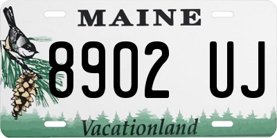 ME license plate 8902UJ