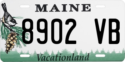 ME license plate 8902VB