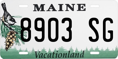 ME license plate 8903SG