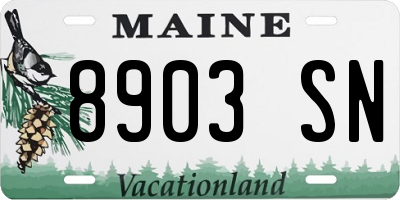 ME license plate 8903SN