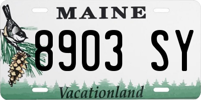 ME license plate 8903SY