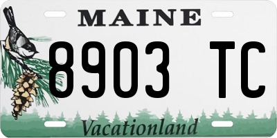 ME license plate 8903TC