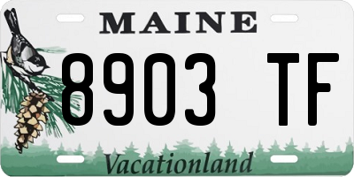 ME license plate 8903TF
