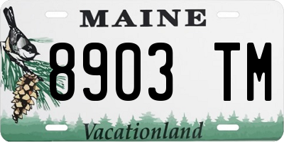 ME license plate 8903TM