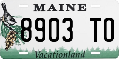 ME license plate 8903TO