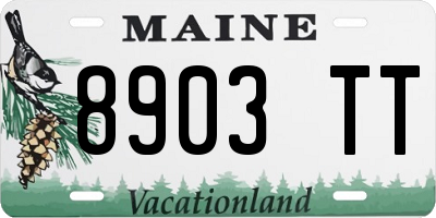 ME license plate 8903TT