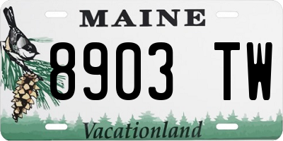 ME license plate 8903TW