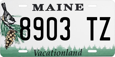 ME license plate 8903TZ